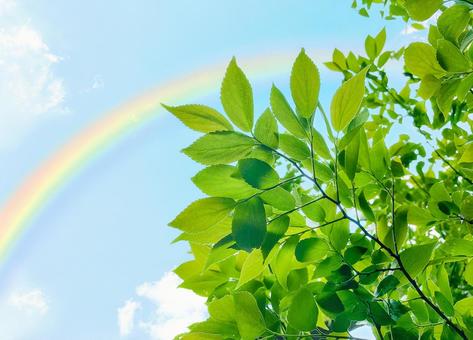 気持ちの良い場所